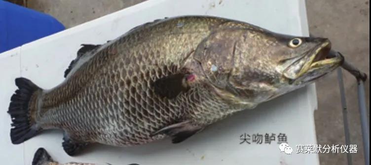 微信圖片_20200404083643.jpg/