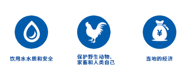 image.png/