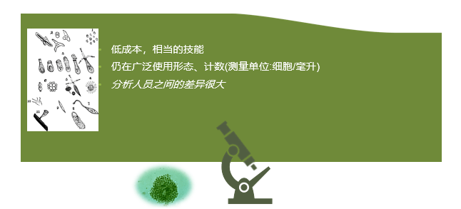 image.png/